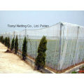 Agriculture Anti Hail Net